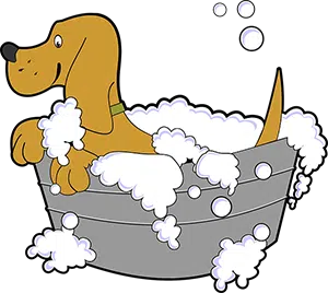 dog bath illustration