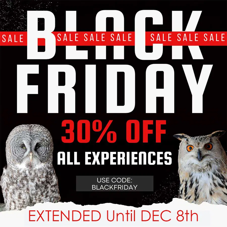 black friday event