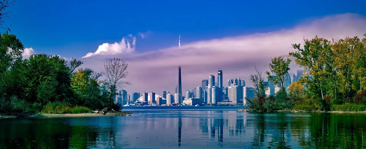 Canada Geese at Toronto's waterfront Toronto waterfront