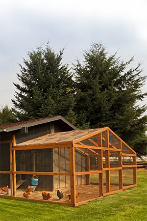 coyote proof chicken coop