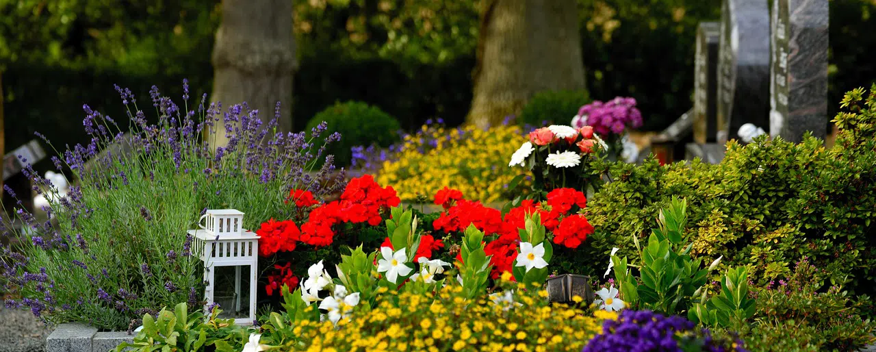 Avoiding geese in cemetaries beautifully landscaped grave site