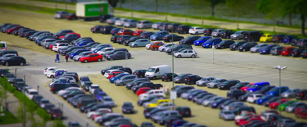 Canada Geese invading parking lots Large parking lot with green space