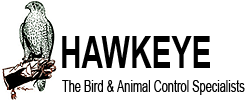 Hawkeye Bird & Animal Control