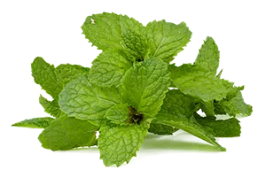 peppermint leaves