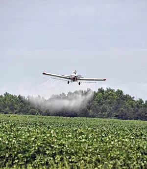 pesticides and bird of prey