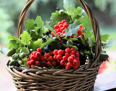 basket of assorted fruits
