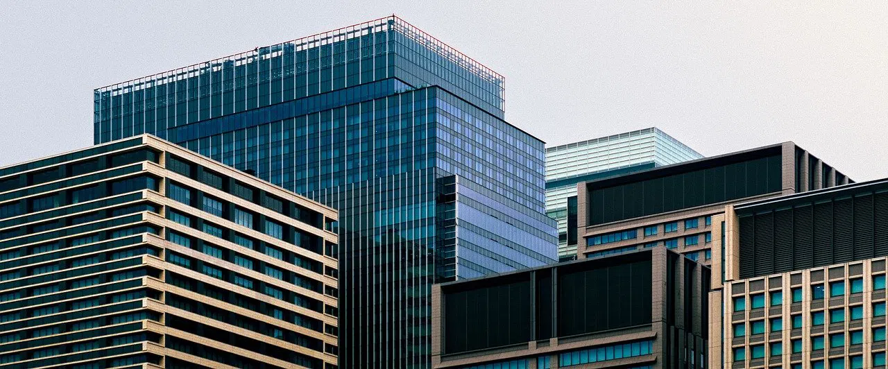 Raccoon Control for Office Buildings in the GTA raccoon control 4 office buildings