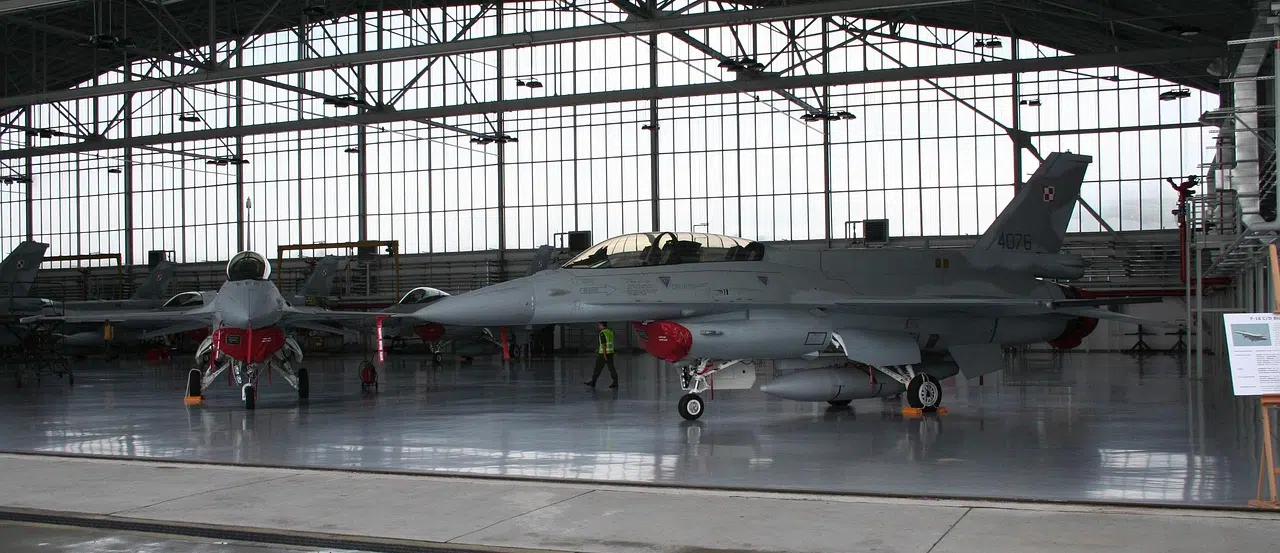 Raccoon control at airports hangar with 2 small aircraft