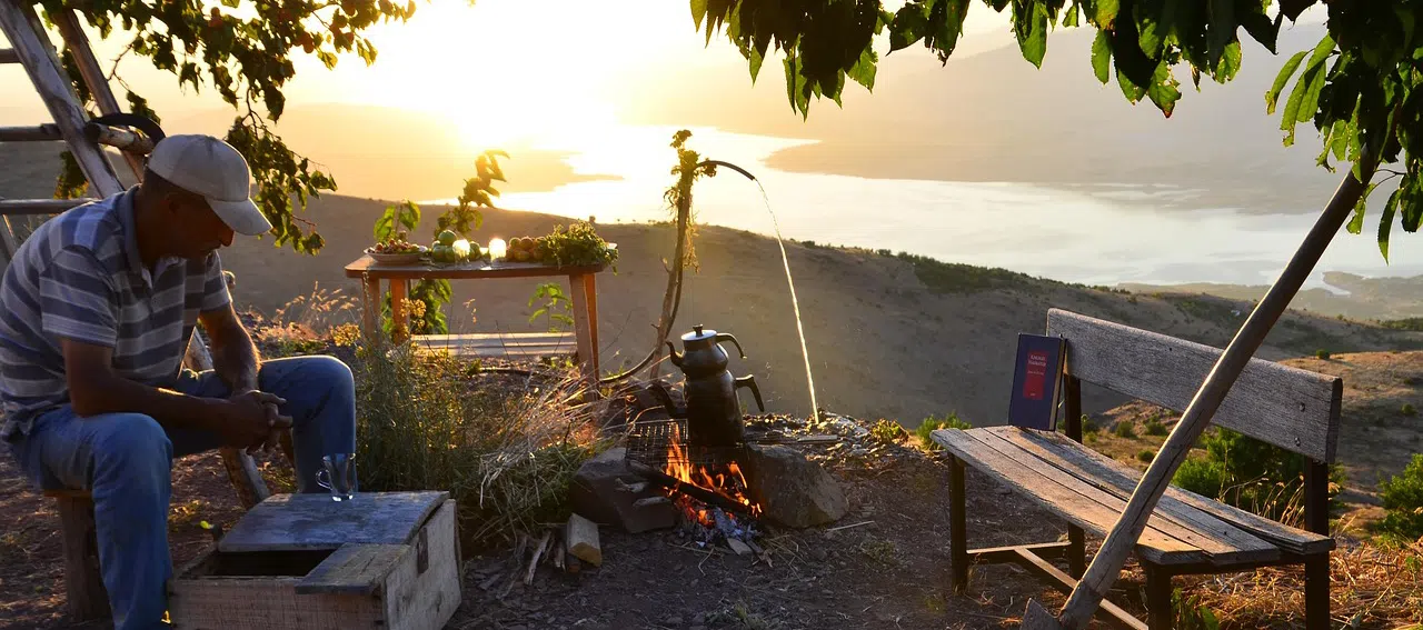 Getting rid of raccoons from your campsite Male at serene campsite