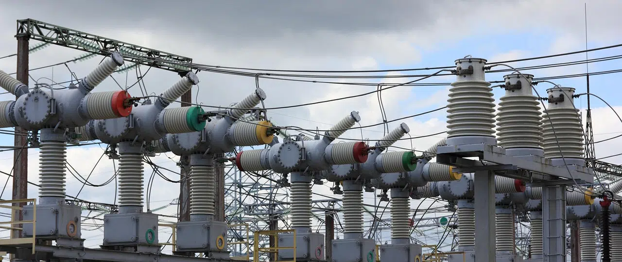 Raccoon removal for electrical substations and power plants power plant