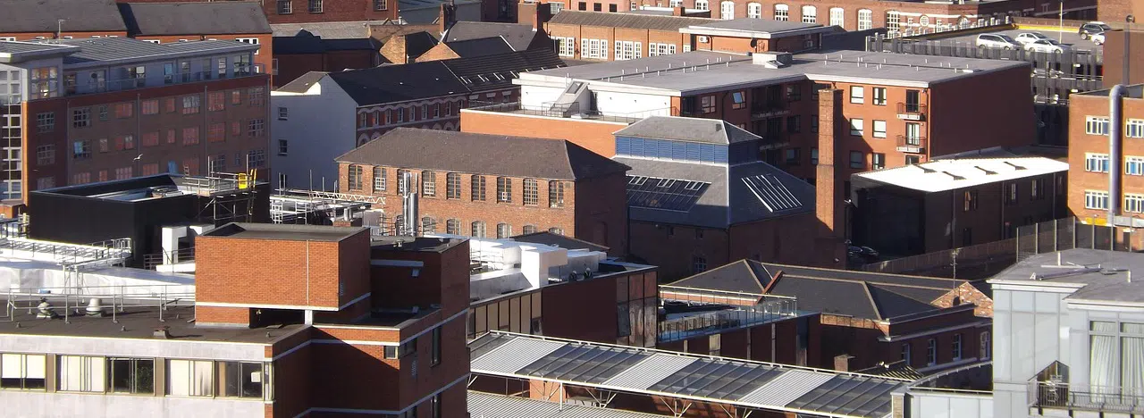 Raccoons in rooftop hvac systems raccoons in rooftop hvac systems