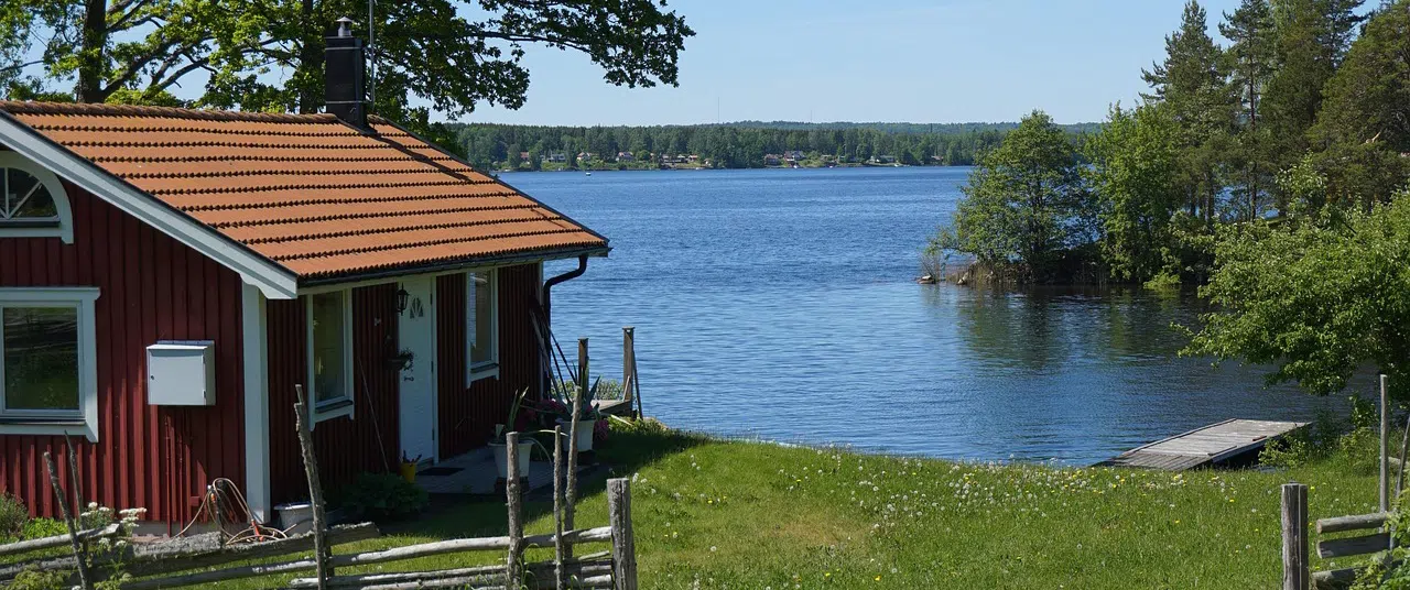 Getting raccoons out of your summer cottage raccoons in summer cottage