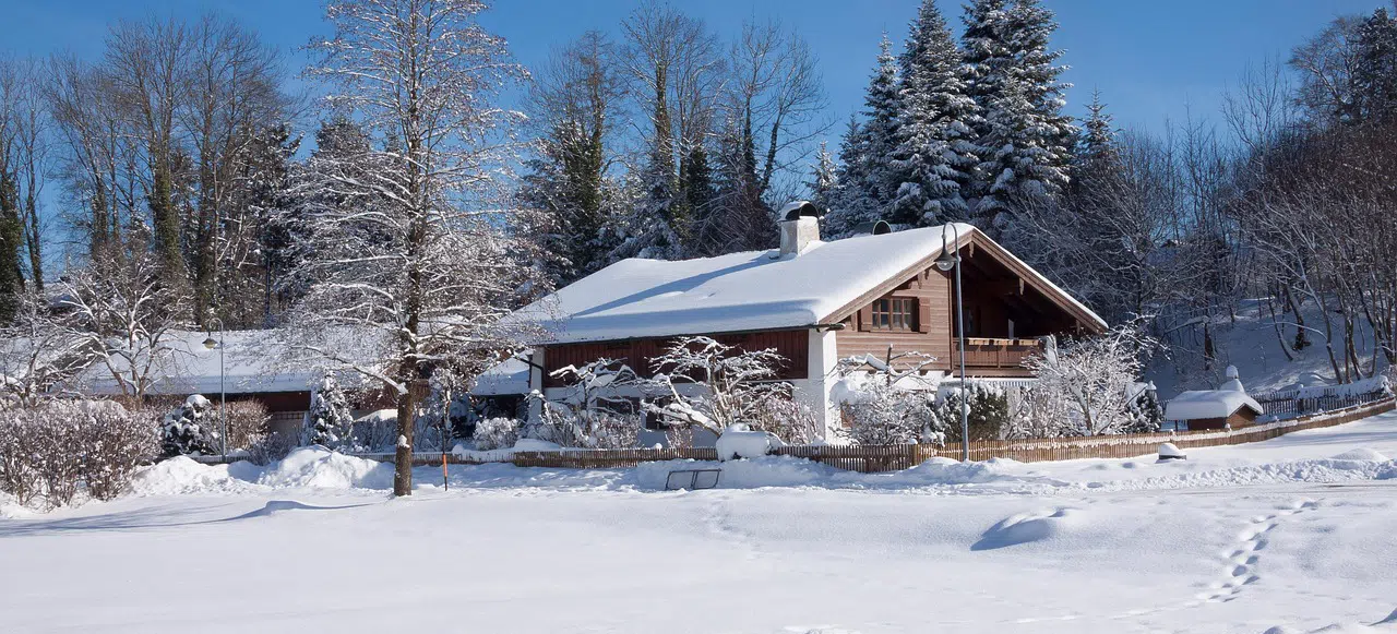 Raccoon removal in Toronto's winter months residential home in winter