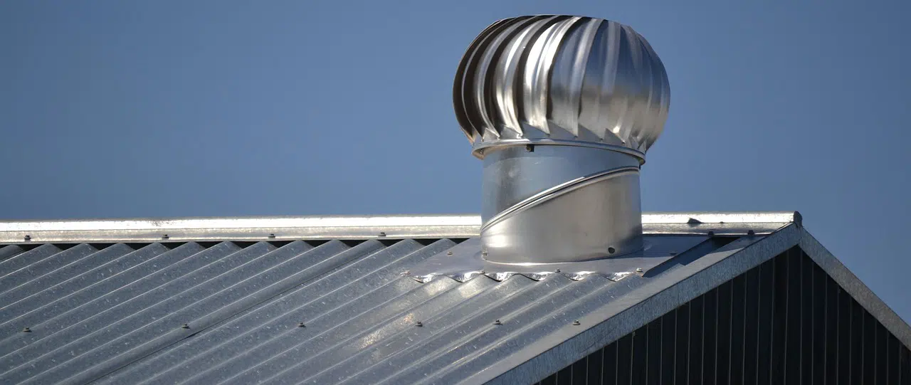 Raccoons use roof vents to access your attic roof vent