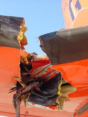 Birdstrike Damaged Aircraft Wing