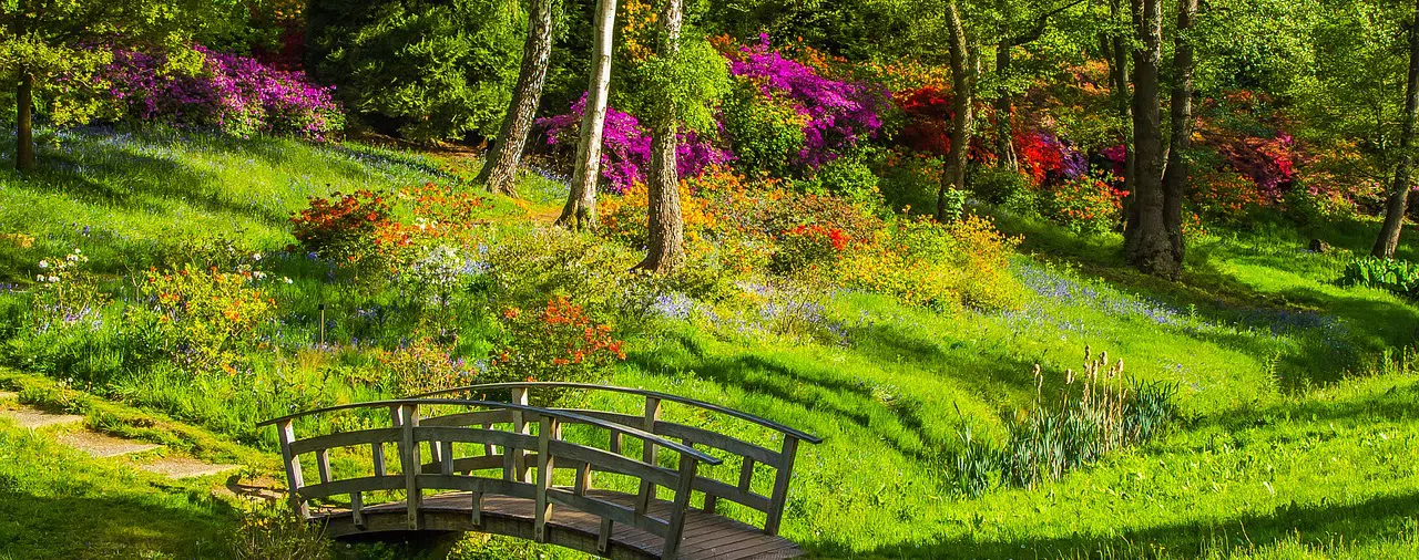 City park with blooming shrubs and wooden bridge